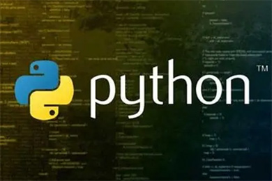 Python̎